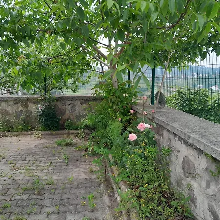 Dogan Villa Trabzon